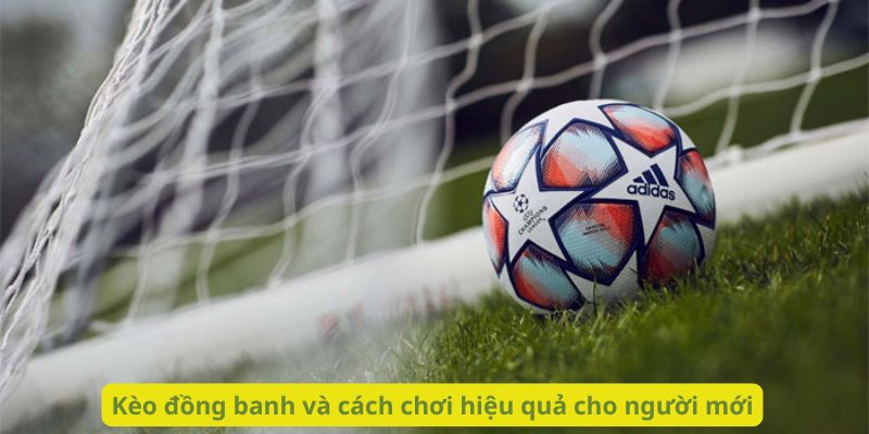 Kèo đồng banh và cách chơi hiệu quả cho người mới