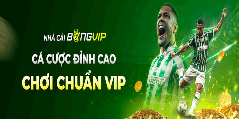 Bongvip - Các Bước Chuẩn Xác Để Trở Thành Cao Thủ Bóng Đá